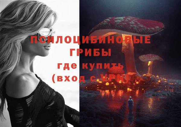 гашик Козловка