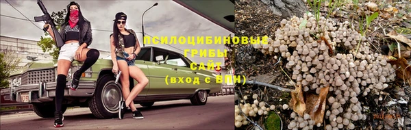 2c-b Балабаново