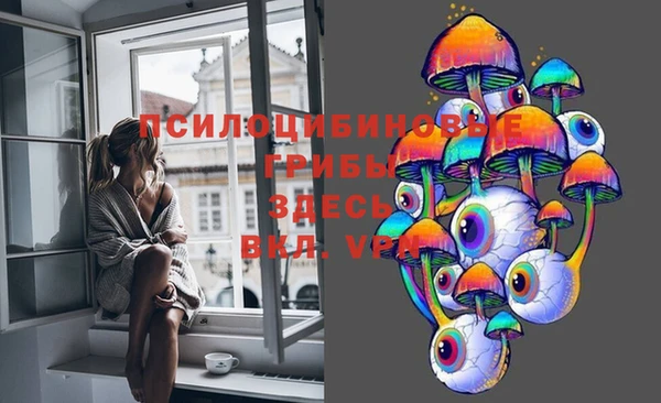 СК Балахна