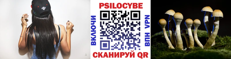 Псилоцибиновые грибы прущие грибы  дарк нет состав  Сердобск 