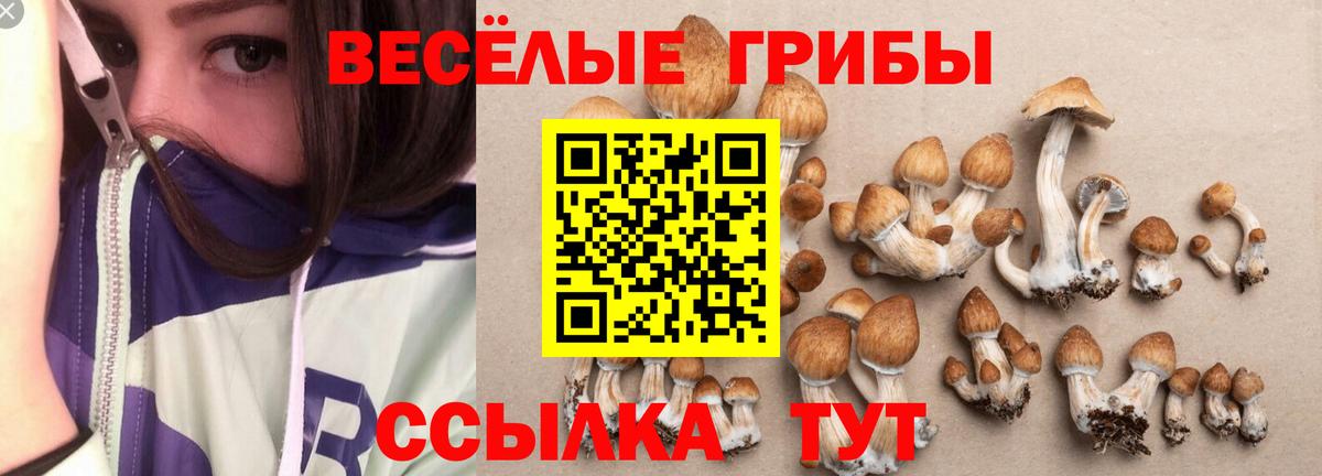 Псилоцибиновые грибы Psilocybine cubensis  Вход с VPN  Галлюциногенные грибы Psilocybe  Сердобск 